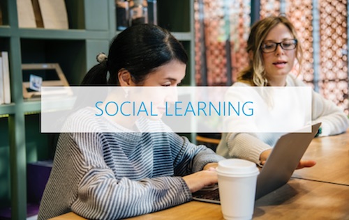 Social learning gericht op de praktijk